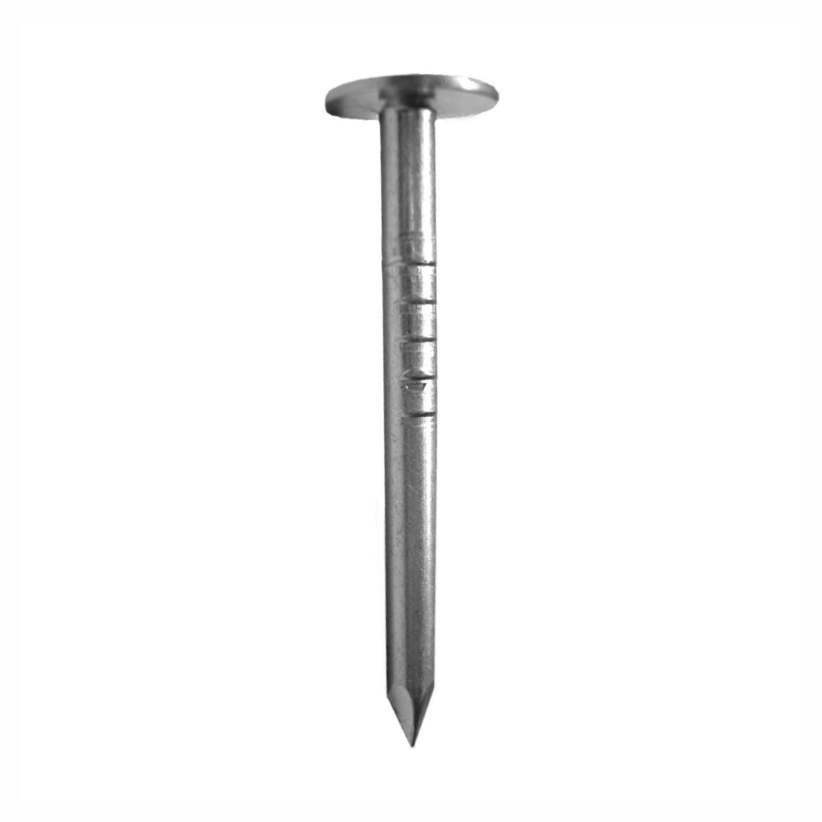 Clous à toiture électrogalvanisé, 2-1/2" (225 unités)
