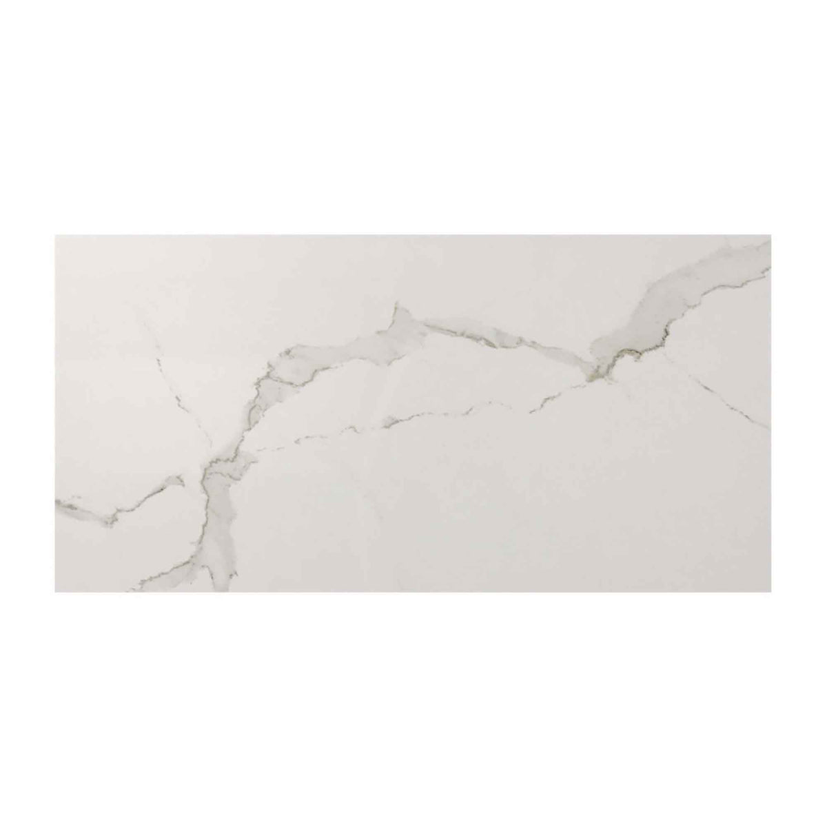 Tuile de porcelaine Albatros de 12&#39;&#39; x 24&#39;&#39;, blanc