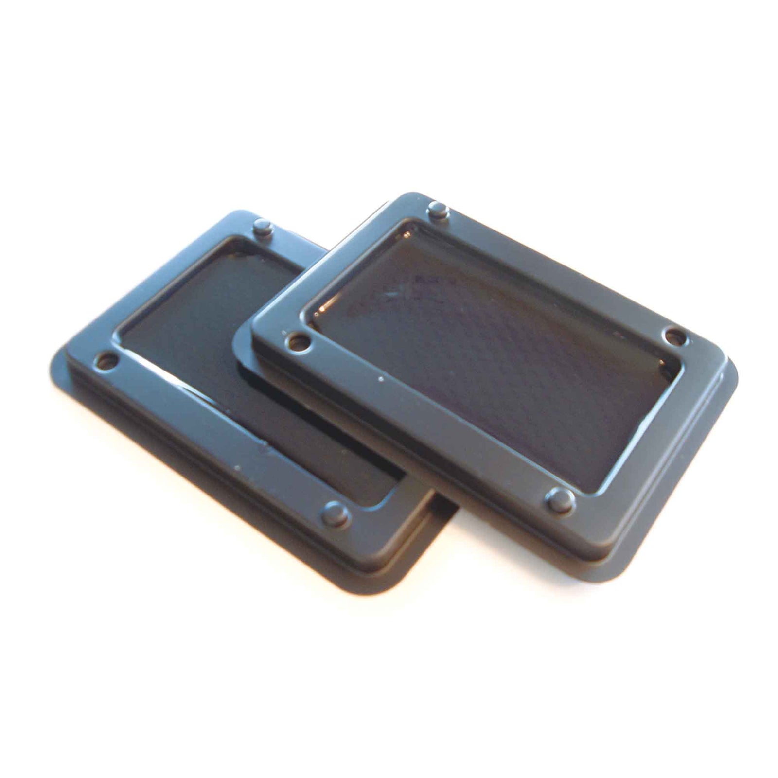 Trappes collantes pour souris et insectes, 2 unités