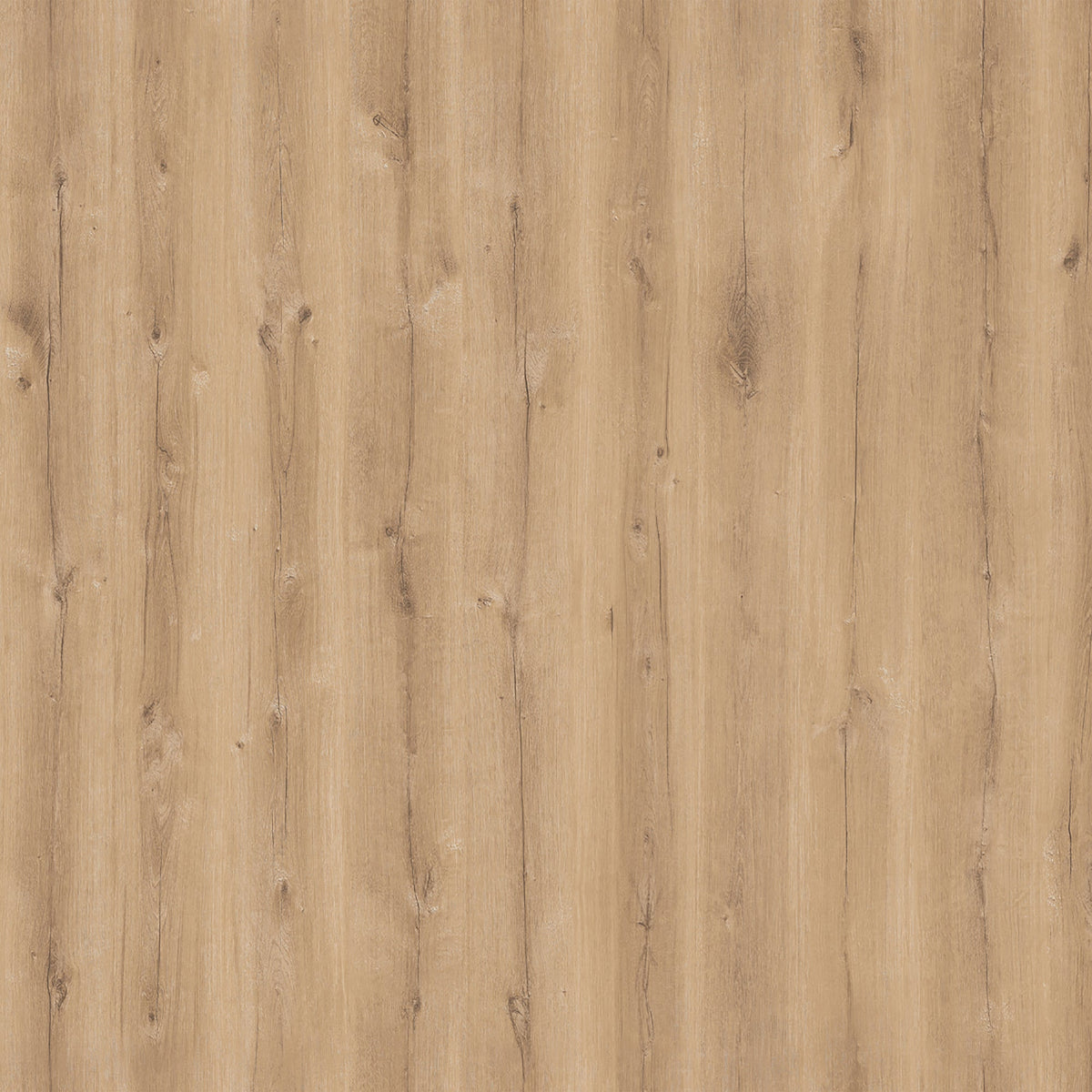 Plancher stratifié 8 mm AC4, Bologne