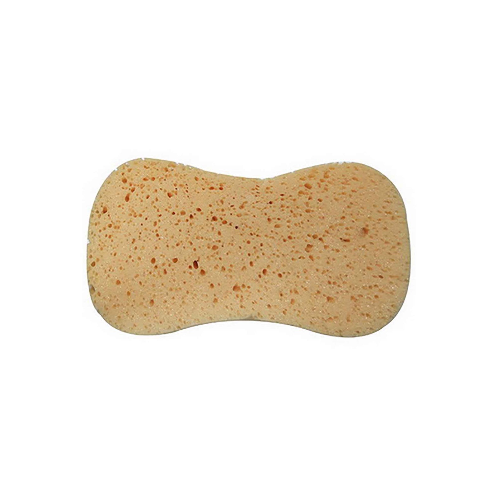 Éponge à coulis, 8" x 5" x 2"