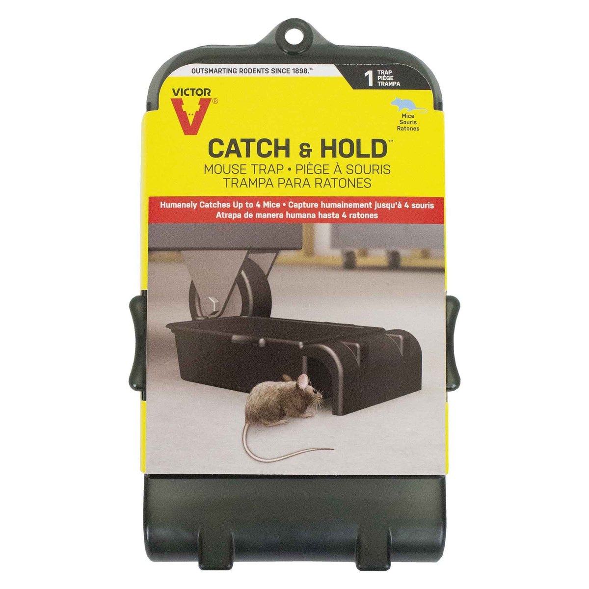 Piège à souris &#39;&#39;Catch and Hold&#39;&#39;, jusqu&#39;à 4 souris