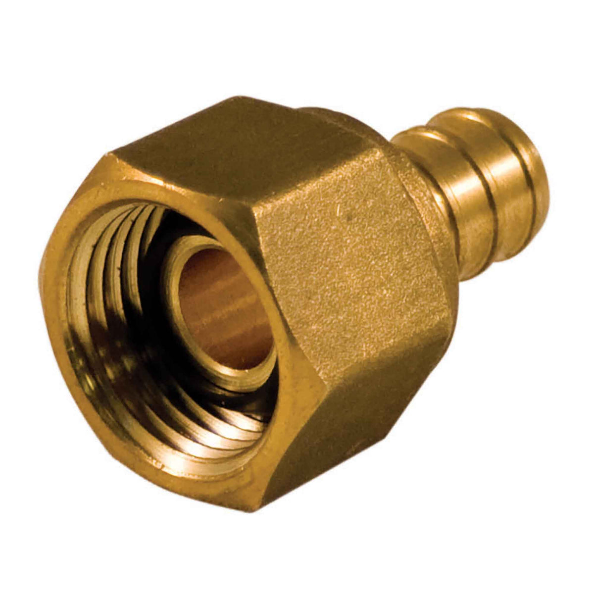 Adaptateur pivotant PEX x FIP en laiton sans plomb avec écrou, 3/4&quot;