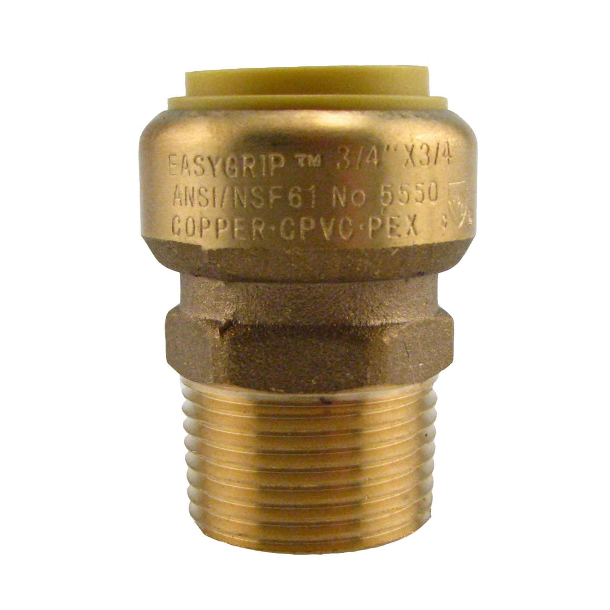 Adaptateur sans plomb, 3/4&quot; PF x 3/4&quot; MPT