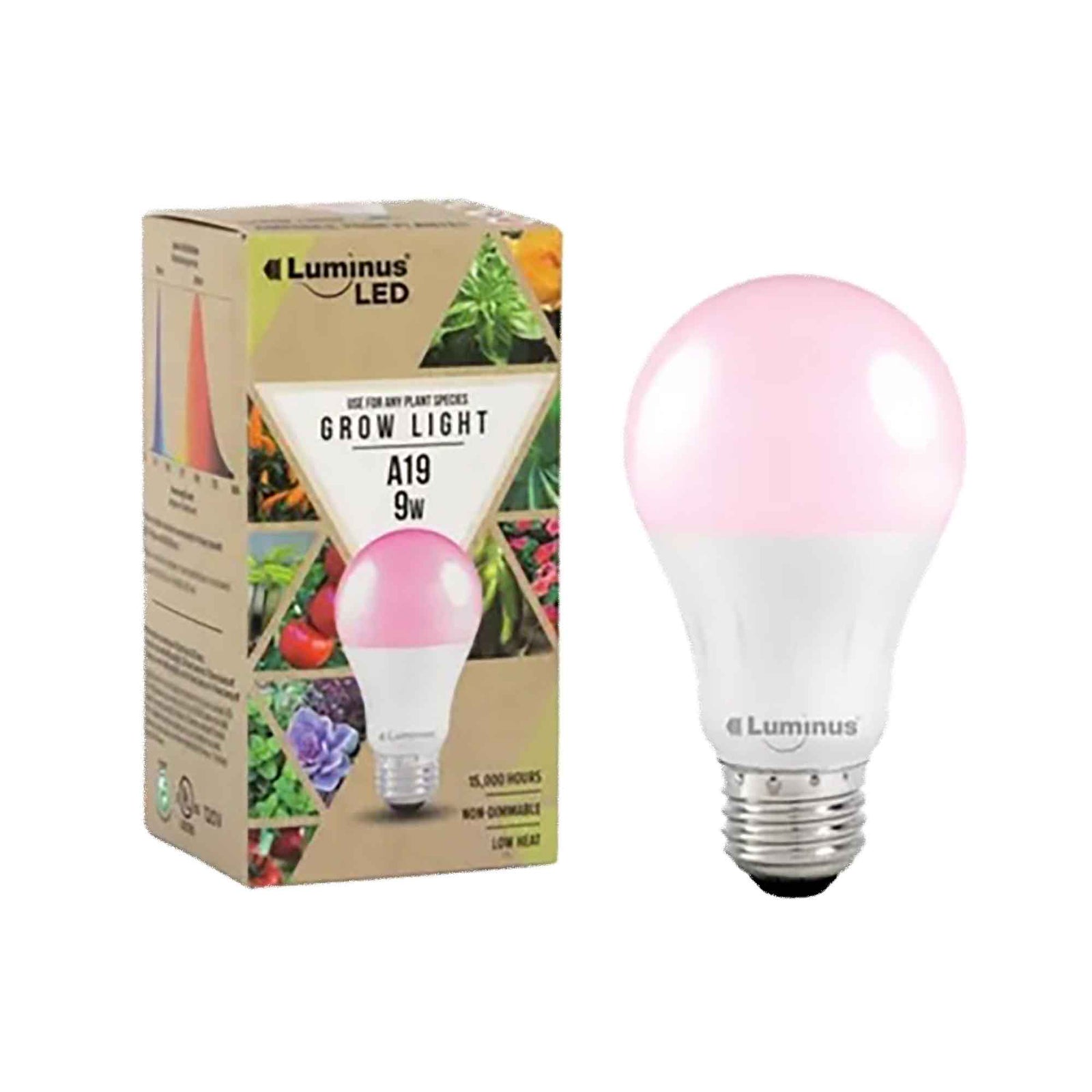 Ampoule pour plante DEL A19 équivalent à 9 watts, non réglable