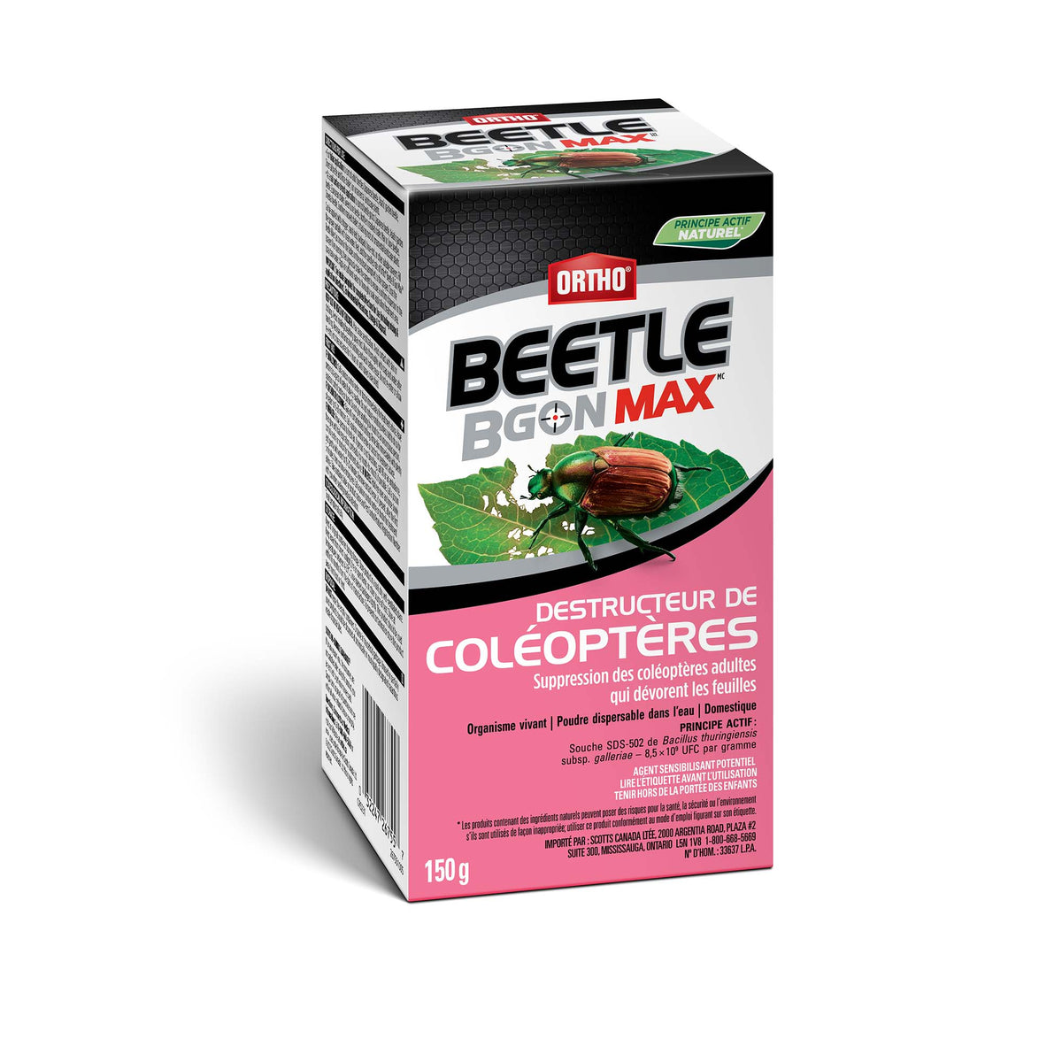 Destructeur de coléoptères Ortho Beetle B Gon Max, 150 g