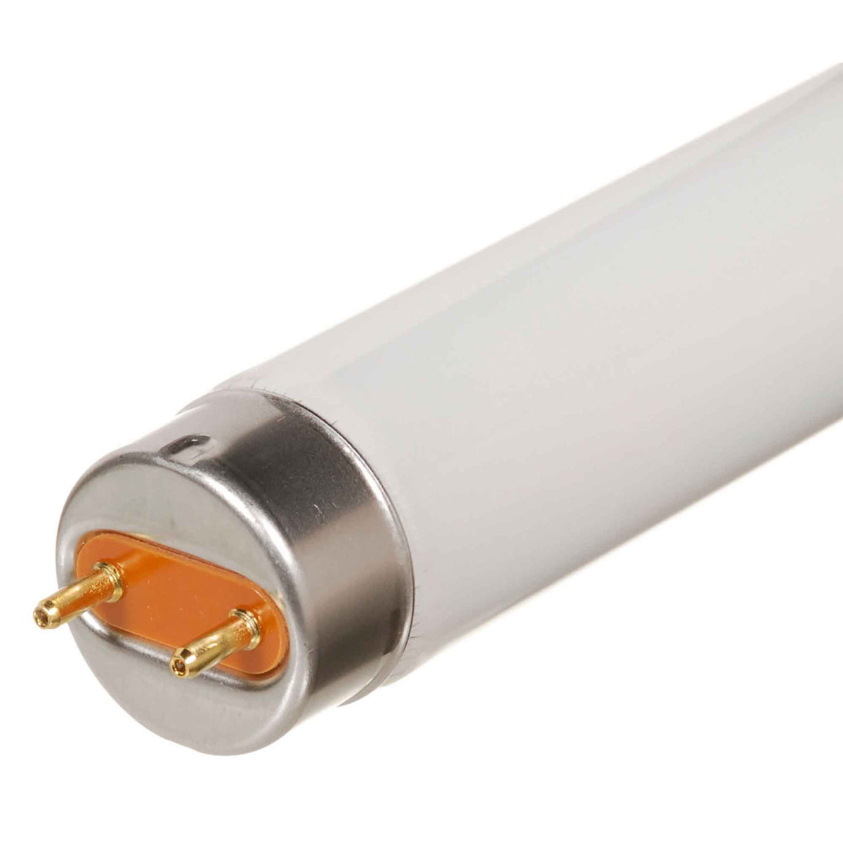 Tube Fluorescent F32T8 32 W / 4 100 K, 48"