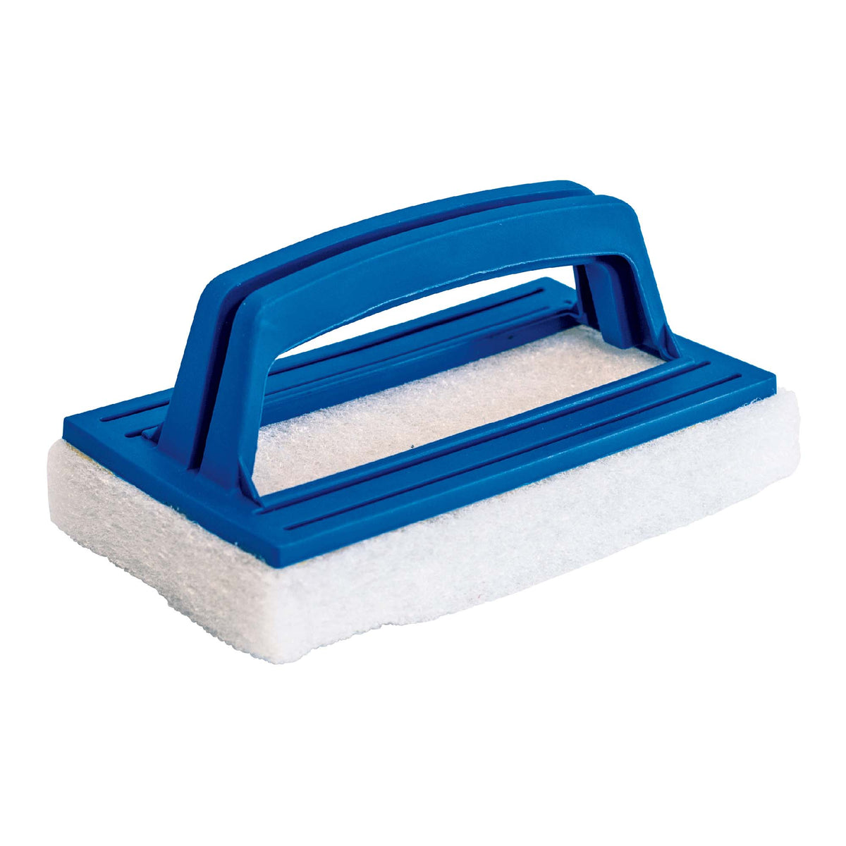 Brosse à récurer pour la piscine