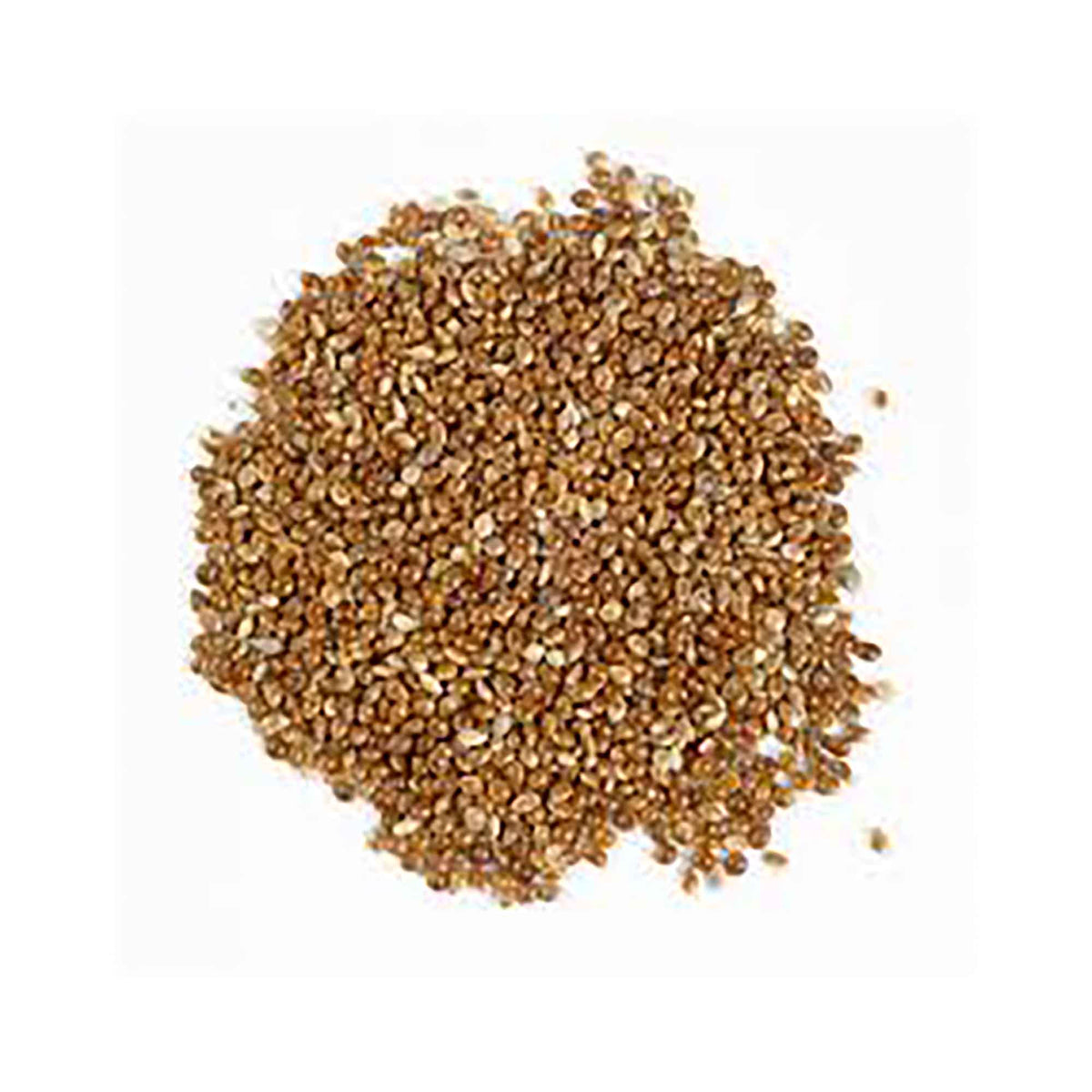 Graines de millet rouge de qualité supérieure pour oiseaux, 2 kg